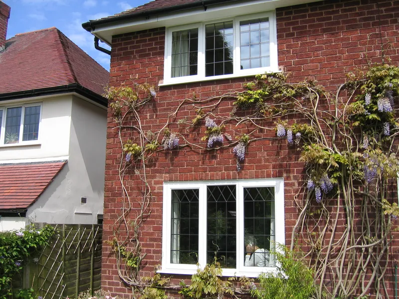 Edwardian Blackheath
