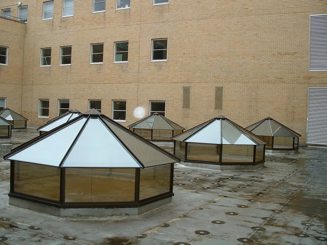 Flat Roof Skylights Blackheath